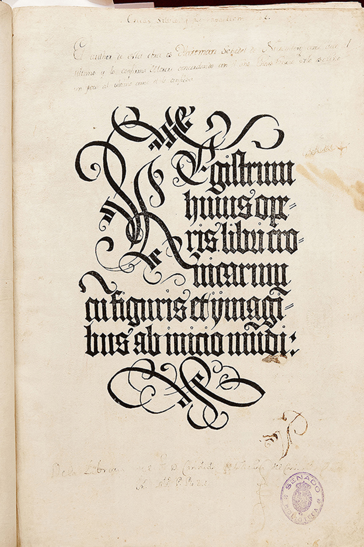 Liber Chronicarum